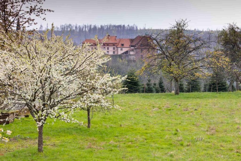 Maison Privilege Nature A La Petite Pierre Bagian luar foto